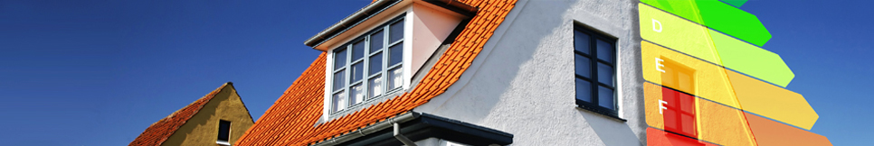 Banner - Walter Belzner