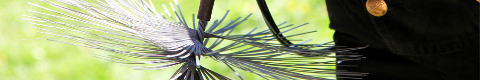 Banner - Walter Belzner